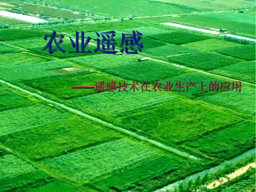农业遥感