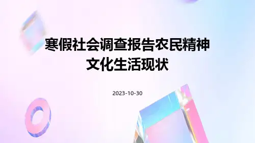 寒假社会调查报告农民精神文化生活现状