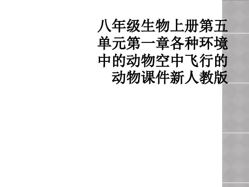 八年级生物上册第五单元第一章各种环境中的动物空中飞行的动物课件新人教版