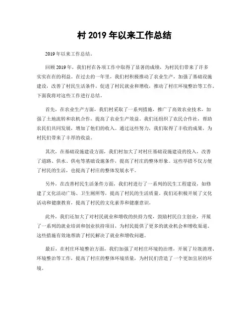 村2019年以来工作总结