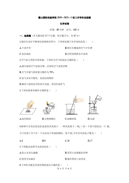 湖南省长沙市麓山国际实验学校2020-2021学年度九年级下学期入学考试化学试卷
