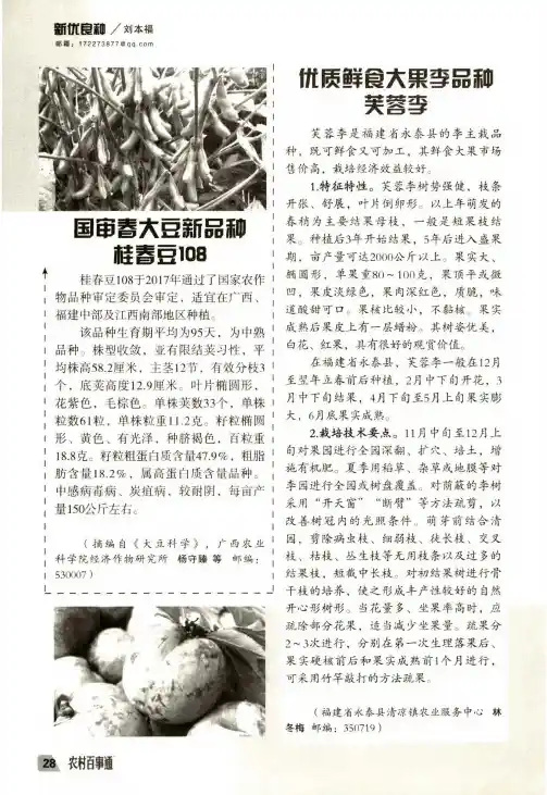 国审春大豆新品种桂春豆108
