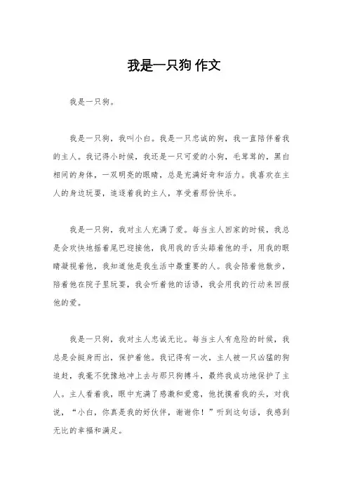 我是一只狗 作文