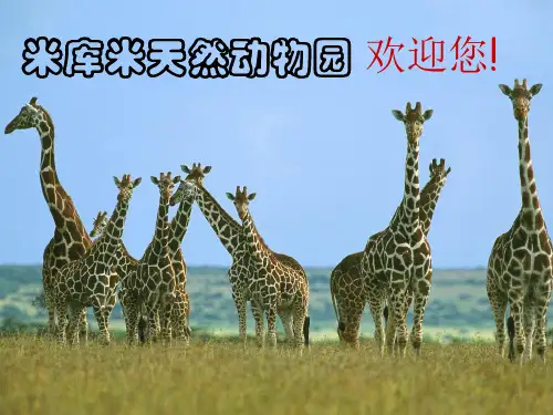 五年级下册语文课件-6.1 游天然动物园｜鄂教版 (共35张PPT)