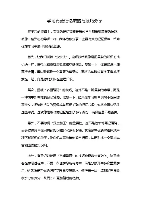 学习有效记忆策略与技巧分享
