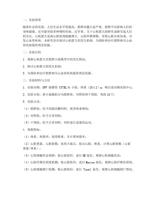 心机肥大实验报告