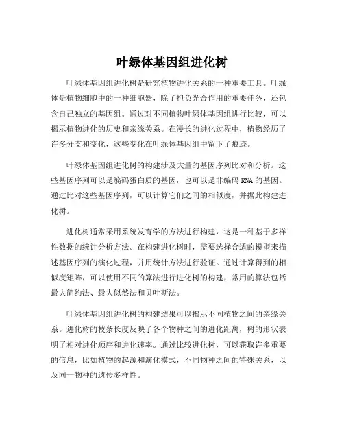 叶绿体基因组进化树
