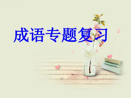 成语专题复习PPT教学课件