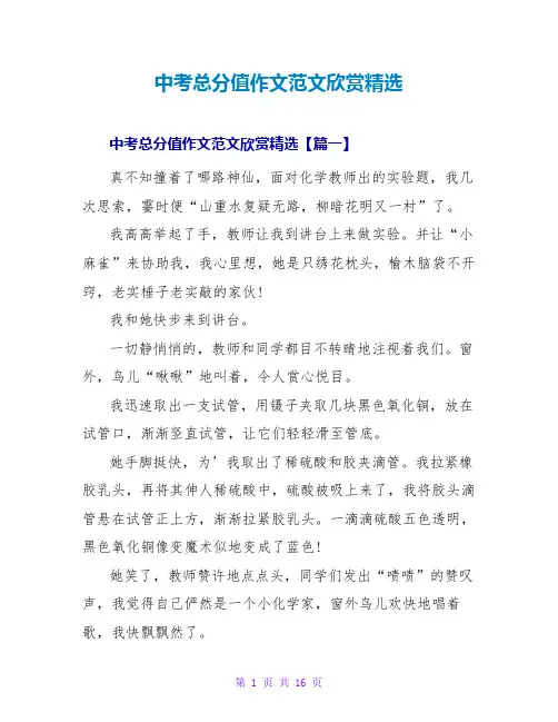 中考满分作文范文欣赏精选