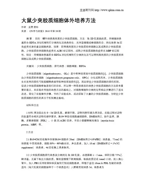 大鼠少突胶质细胞体外培养方法