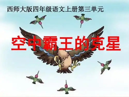 “空中霸王”的克星 优秀ppt课件
