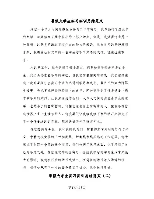 暑假大学生实习实训总结范文（3篇）