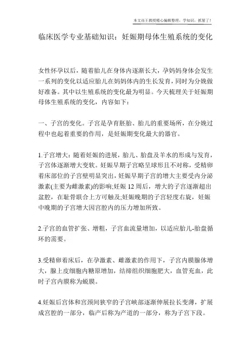 临床医学专业基础知识：妊娠期母体生殖系统的变化