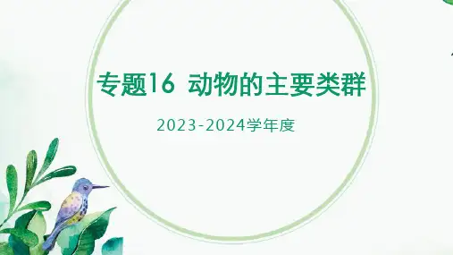 2025年中考生物省心备考复习专题16 动物的主要类群(课件)(讲解版)
