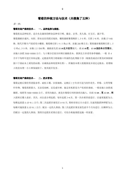 葡萄种植(五种方法)