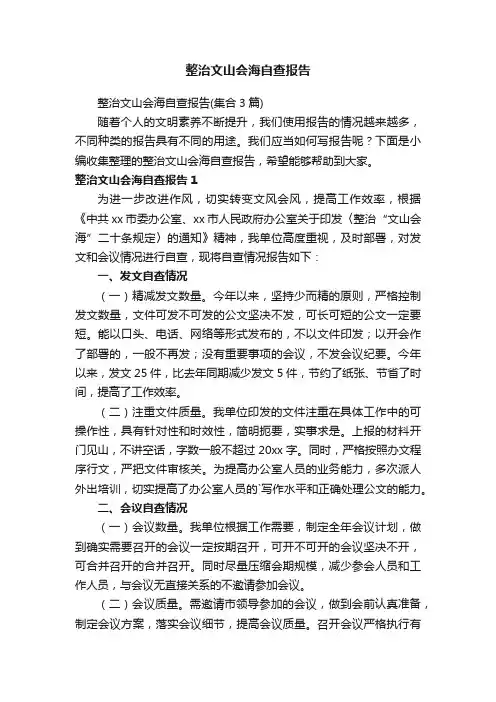 整治文山会海自查报告
