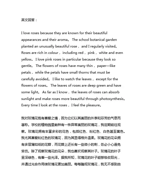 小学三年级植物记录卡玫瑰花作文