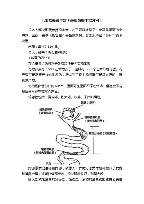 毛蛋营养很丰富？是细菌很丰富才对！