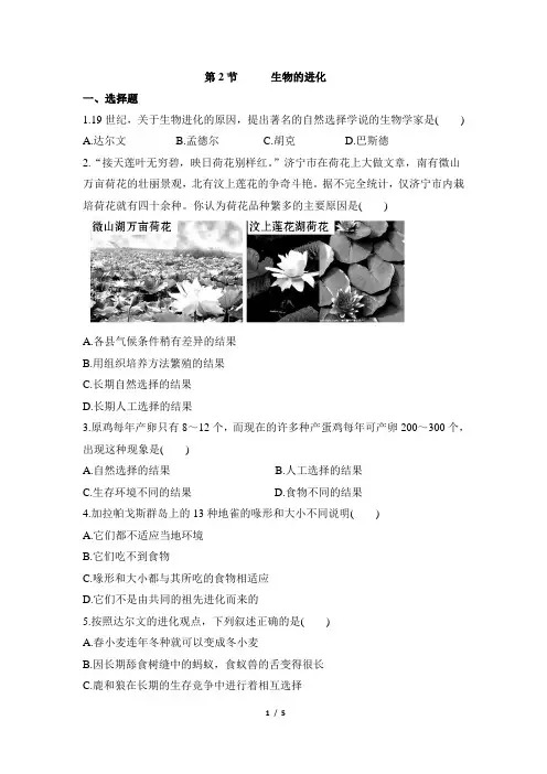 北师大版生物八年级下册 21.2《生物的进化》同步练习2