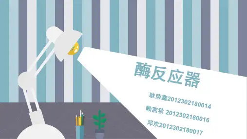 酶反应器