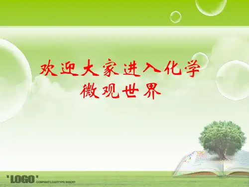人教版九年级化学上册《原子核外电子的排布》PPT课件