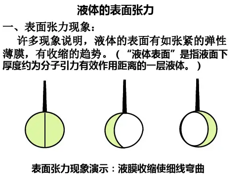 表面张力 附加压强 毛细现象教材