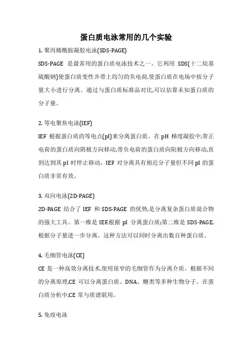 蛋白质电泳常用的几个实验