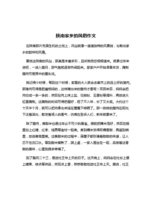陕南家乡的风俗作文