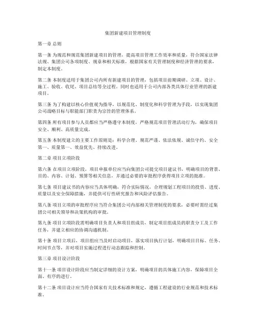 集团新建项目管理制度