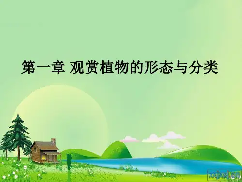 观赏植物的形态与分类