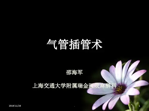 气管插管术精品PPT课件
