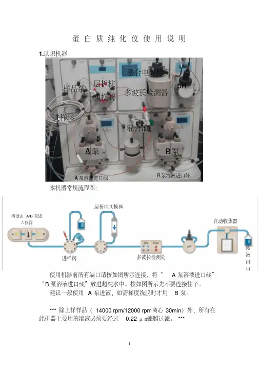 蛋白质纯化仪的使用(1)资料