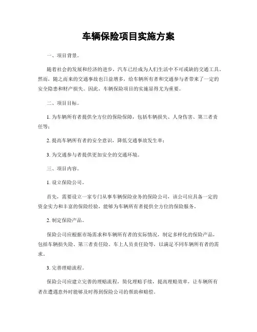 车辆保险项目实施方案