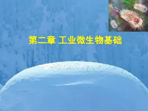 细菌计数-生长筛选诱变-第三节