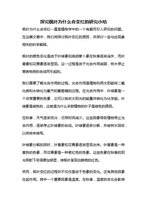 探究枫叶为什么会变红的研究小结