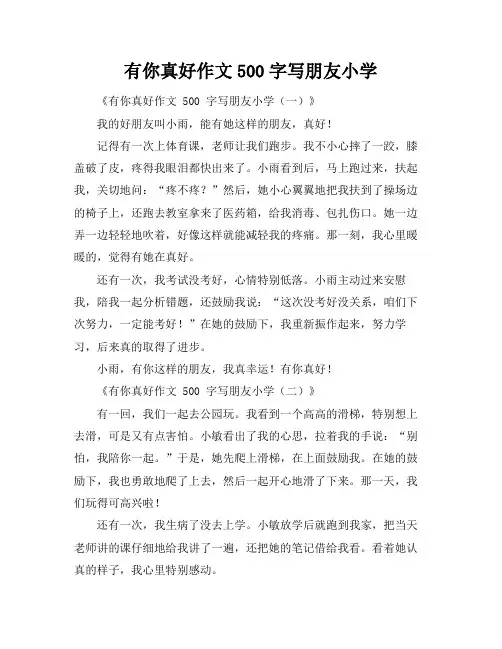 有你真好作文500字写朋友小学