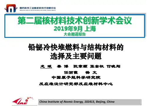 铅铋冷快堆燃料与结构材料的选择及主要问题(2019)