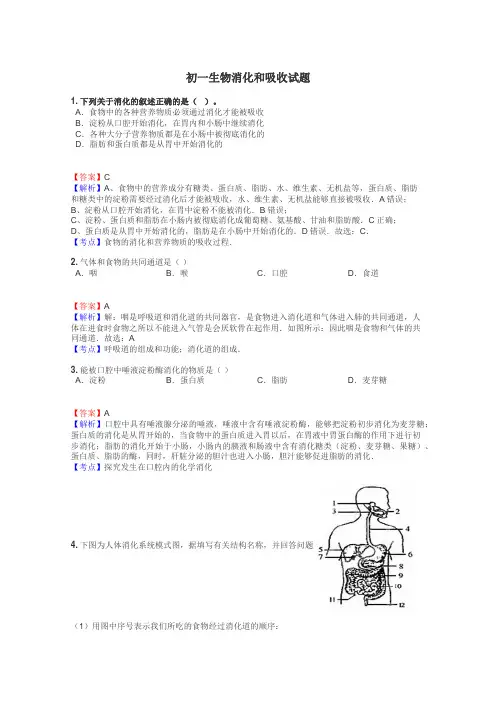 初一生物消化和吸收试题
