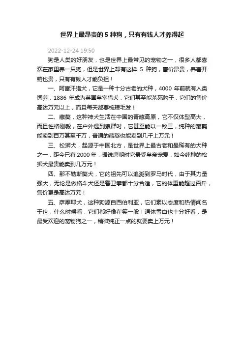 世界上最昂贵的5种狗，只有有钱人才养得起