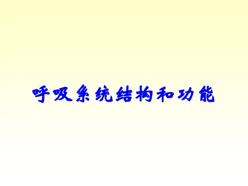 呼吸系统结构和功能