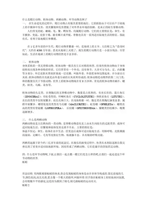 什么是爬行动物、软体动物、两栖动物、环节动物及例子