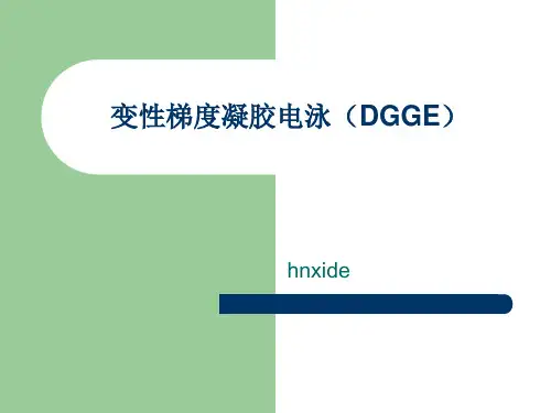 变性梯度凝胶电泳精品PPT课件