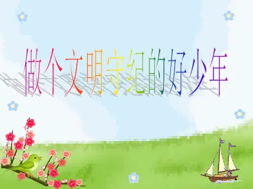 做个文明守纪的好少年班会PPT课件
