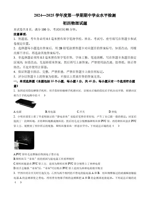 山东省淄博市张店区2024-2025学年上学期九年级11月期中考试物理试卷(含答案)