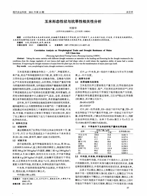 玉米形态性状与抗旱性相关性分析