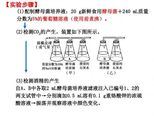 探究酵母菌细胞呼吸的方式实验
