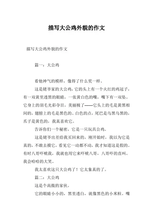 描写大公鸡外貌的作文