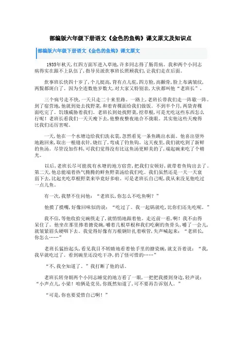 部编版六年级下册语文《金色的鱼钩》课文原文及知识点