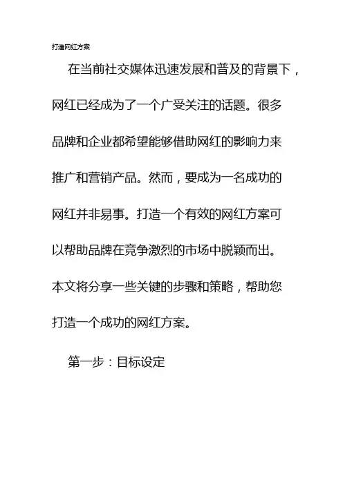 打造网红方案