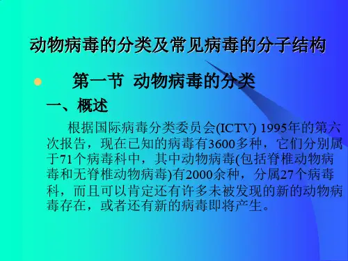 动物病毒的分类及常见病毒的分子结构.ppt